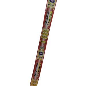 mini san pedro cactus